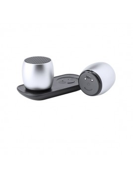 Wireless Bluetooth Speakers USB 6W Silver